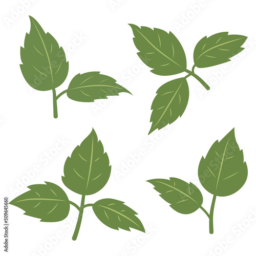 Set of leaves. Hand drawn sketch style. Flat vector illustration isolated on white background. © Oxy D