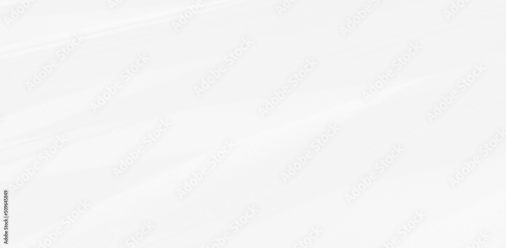 Abstract blurred background. The shadow reflection of leaves and gray light lines. on the white surface concrete wall. for wallpaper, backdrop and design. Abstract blurred background. The shadow reflection of leaves and gray light lines. on the white surface concrete wall. for wallpaper, backdrop and design.