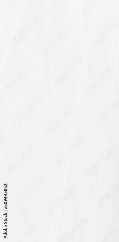 Obraz premium Abstract blurred background. The shadow reflection of leaves and gray light lines. on the white surface concrete wall. for wallpaper, backdrop and design.