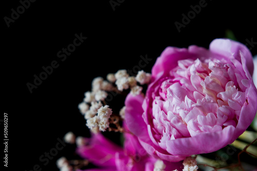 pink and white flowers. pink and white peonies on a black background. Bouquet of flowers.