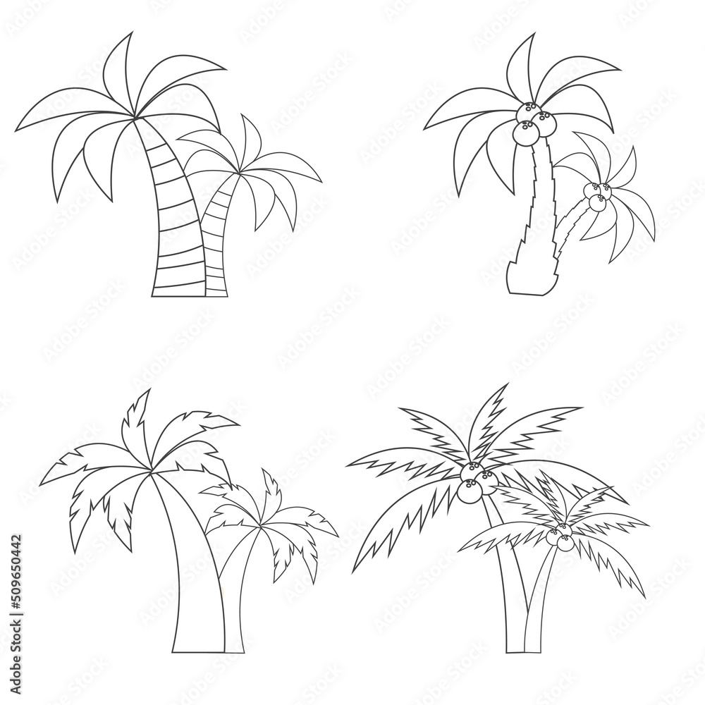 Set of different paired palm trees with coconuts in a line style. Isolated on a white background. Vector illustration.