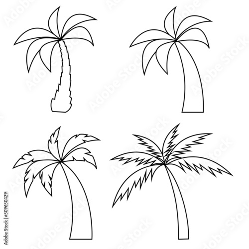 Set of different palm trees in a line style. Isolated on white background. Vector illustration.