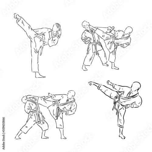 the vector illustration of the karate fighter