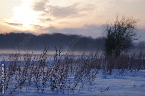 Sonnenaufgang Nebel Schnee Kalt Natur Landschaft