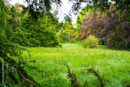 Landscape in rural England during spring time