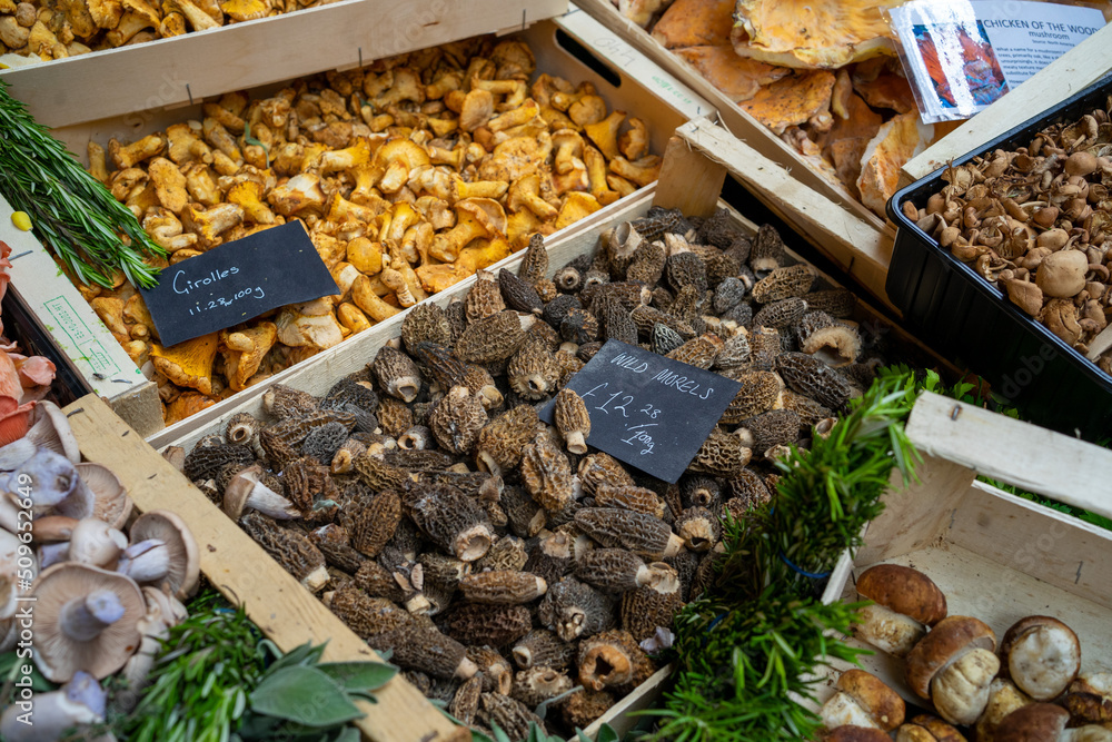 Mushroom display at a farmers market