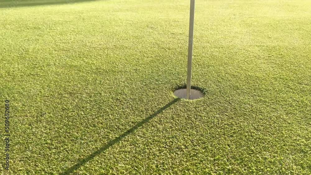 Golf ball rolling into hole on green grass of golf course Stock ビデオ