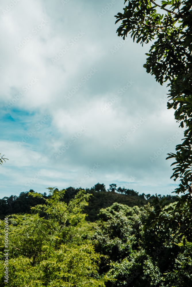 Obraz premium Mountain view taken from a high angle