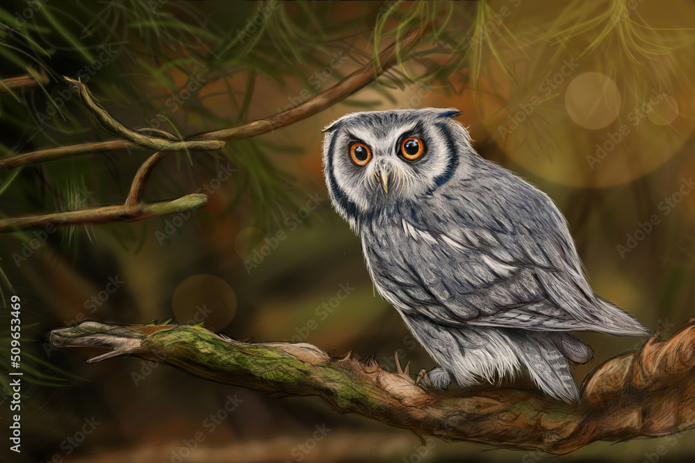 Grey owl hand-painted digital drawing. In the forest. Grey owl hand-painted digital drawing. In the forest.