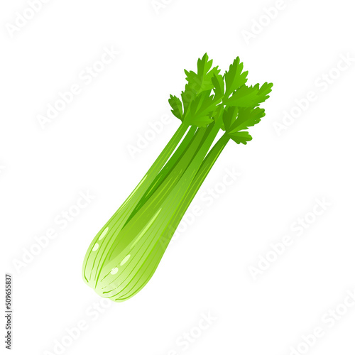 Celery. Vector illustration cartoon icon isolated on white background.