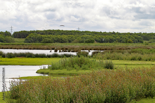 A beautiful landscape shot at Lunt Nature reserve in Merseyside. Home to the famous barn owl. This photo was taken in summer, although that is not noticeable in the grey and miserable sky,