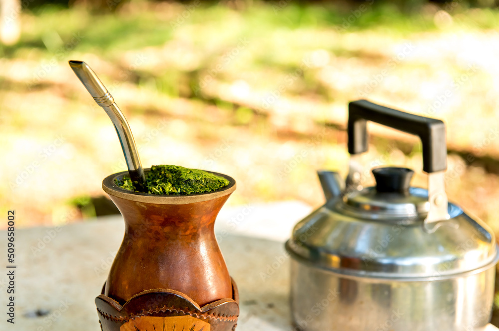 Traditional South American Yerba Mate (chimarrao in Brazil).