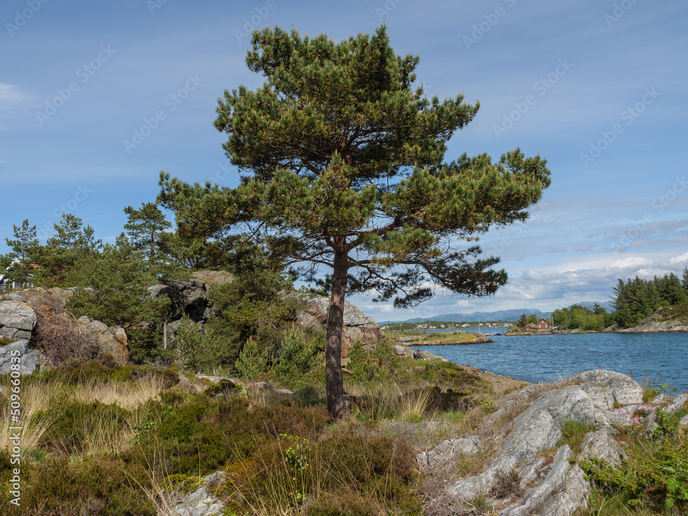 Landschaft bie Stavanger in Norwegen Landschaft bie Stavanger in Norwegen