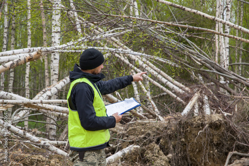 Foto The environmental inspector points to the destroyed birch forest.