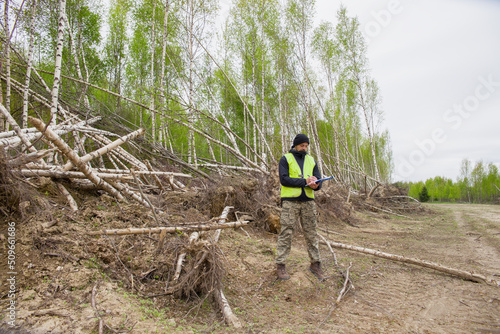 The environmental inspector draws up a protocol on violation of environmental protection rules. Near a large amount of destroyed forest. photo