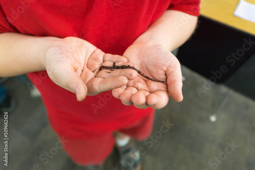 Close up of a boy's hands holding a worm