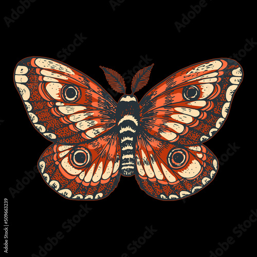The giant emperor moth hand drawn vector illustration. Saturnia pyri butterfly.