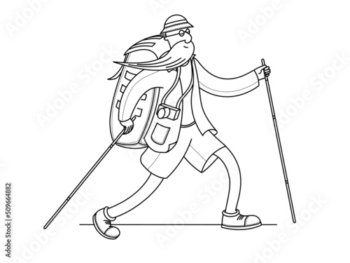 Traveler with backpack and trekking poles. Linear vector drawing for coloring.