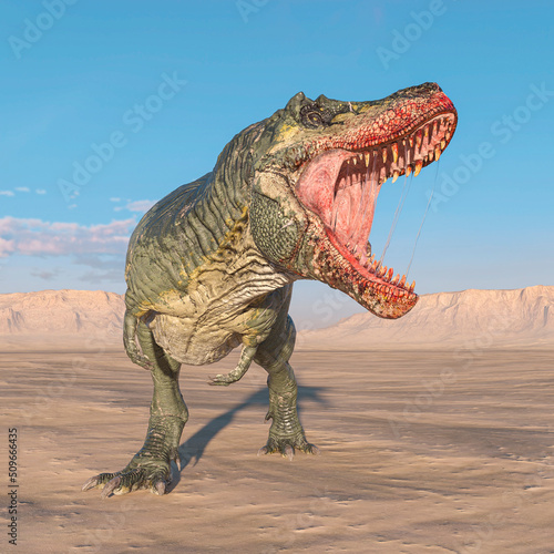 tyrannosaurus is angry on sunset desert side view © DM7