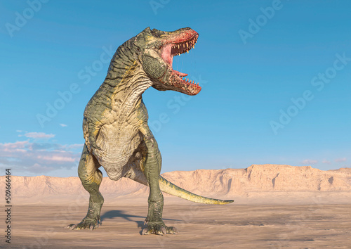 tyrannosaurus is calling the others on sunset desert side view with copy space