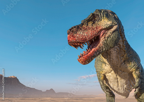 tyrannosaurus is in stand up pose on sunset desert close up view with copy space © DM7
