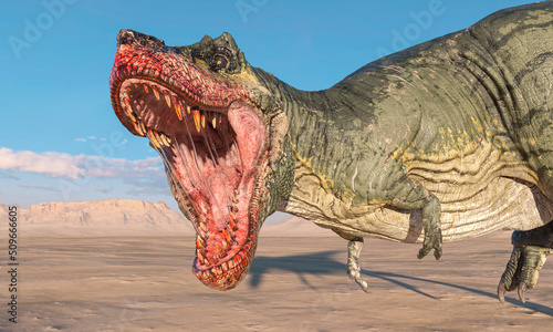 tyrannosaurus is running and ready to bite on sunset desert side close up view