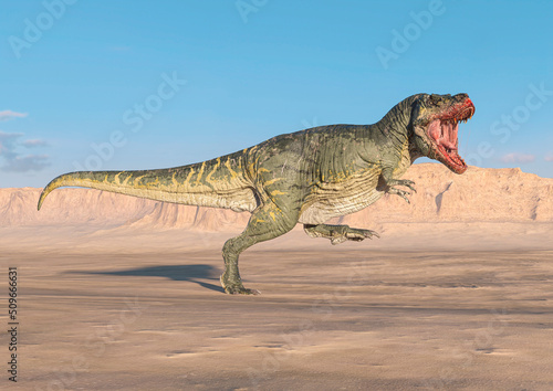 tyrannosaurus is running fast on sunset desert cool view