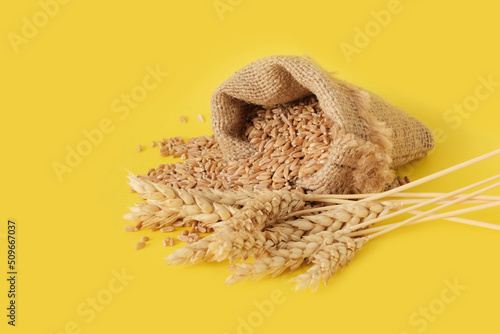 Grain, a sack of wheat, ears of corn.Yellow background. The concept is a symbol of the harvest, the food crisis during the war. Import, export of grain. Agriculture.