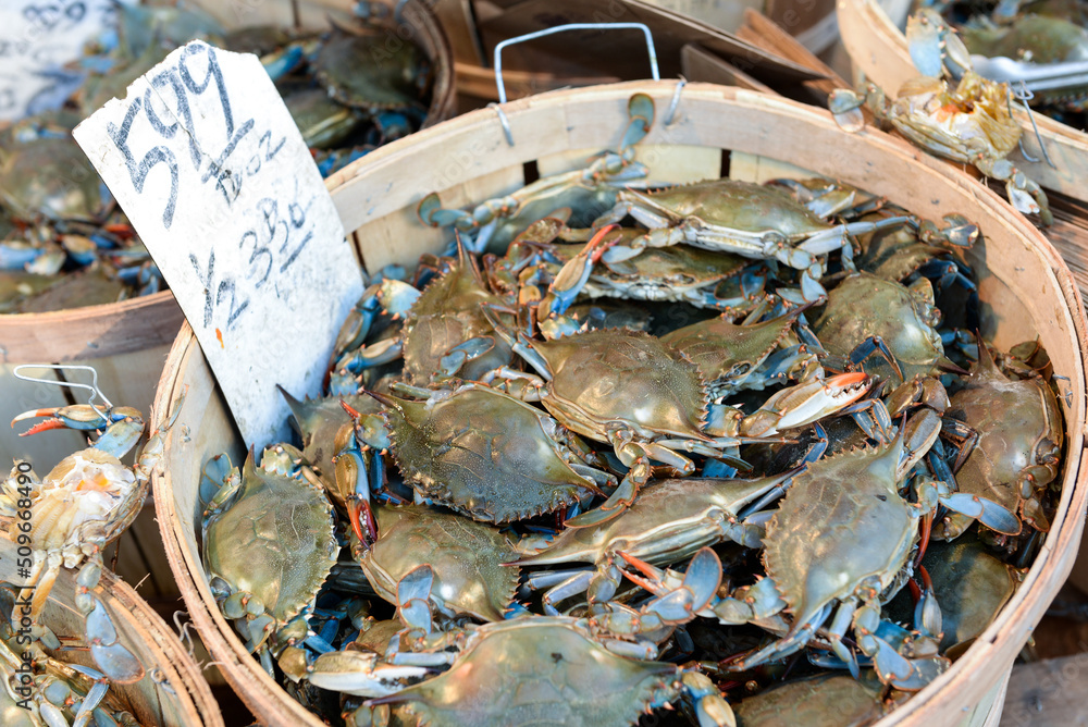 Live crabs sold on a street market, at Chinatown, Manhattan, New York, USA Live crabs sold on a street market, at Chinatown, Manhattan, New York, USA