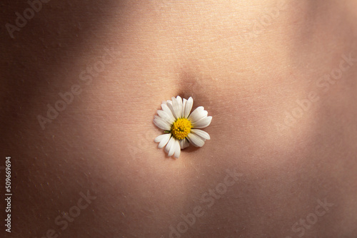 Female beautiful tummy with a chamomile flower in the navel. Perfect body shape. Parts of a female body. Torso of slim female