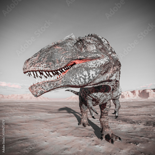 giganotosaurus is looking for the others on sunset desert © DM7