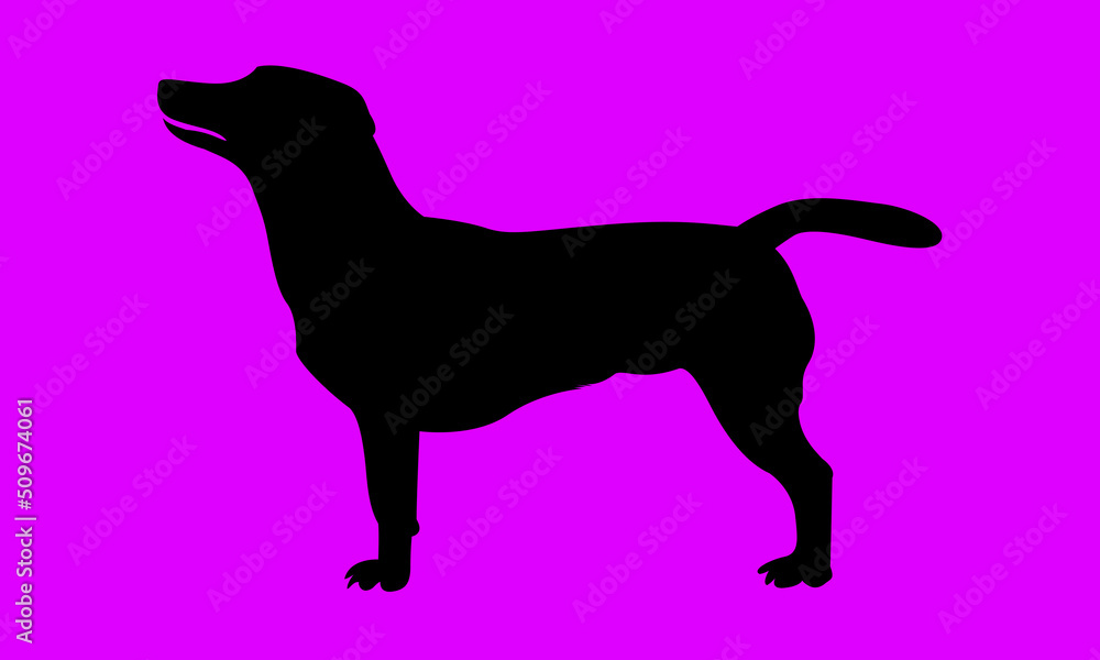 Dog vector silhouette  collection graphics 