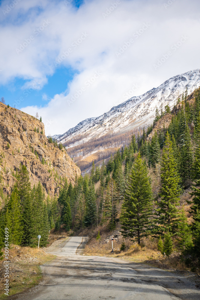 Road in the mountains of southern Altai with view on snow tops and spring forest, Russia