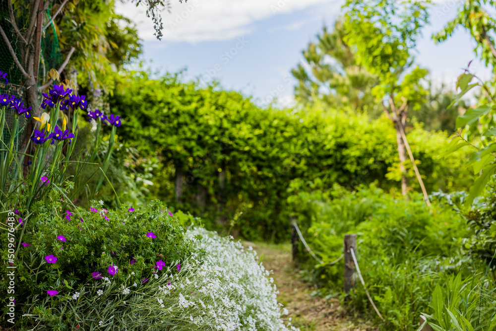 Naklejka premium Urban garden background. Spring, summer natural ecology environment sustainability horticulture