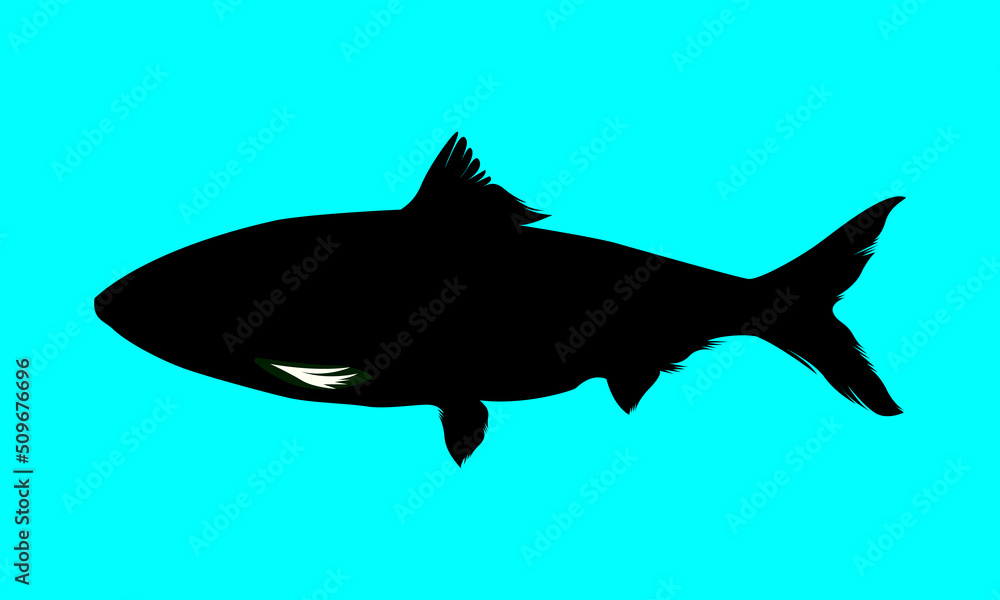 Obraz premium Fishing silhouette vector design 