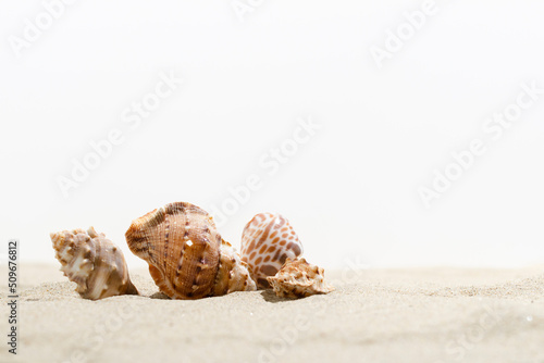 Piggy bank on sunny beach on white background. Savings for vacation concept. Finance and travel concept