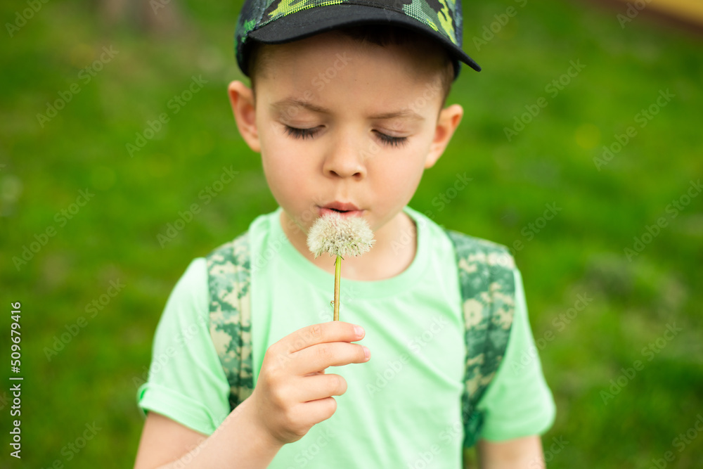 Close-up child boy blowing on a dandelion against the background of green grass Close-up child boy blowing on a dandelion against the background of green grass