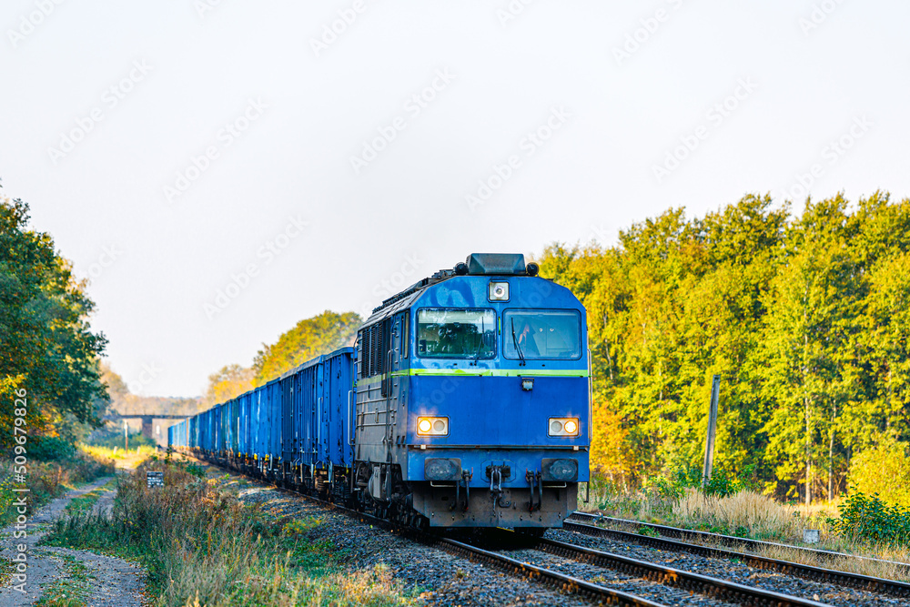 Obraz premium A blue diesel locomotive pulls a long freight train to the railway station. Autumn forest.