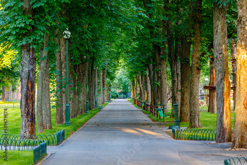 Deserted pedestrian alley in the city park. Green trees. Gorky Central Park. Kharkiv, Ukraine - summer 2022