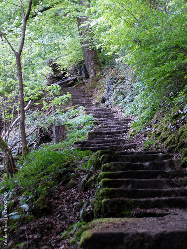 Mullerthal Trail  May 2019   Big hike in the Mullerthal Trail  or Little Luxembourg Switzerland  located in the Luxembourg Ardennes