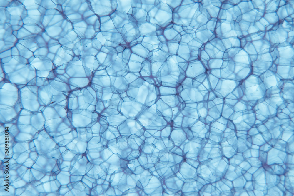 Background blue abstract. Background dark gradient Background blue abstract. Background dark gradient