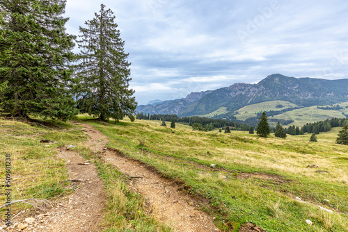 Auf der Postalm