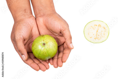 Psidium Guajava - Tasty And Healthy Fruit Guava Apple; In Male Hand On White Background