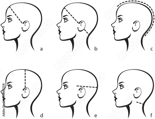 Stylized image of a female head. Template for selecting the size of a wig or hair system for women. Measuring size chart. Vector illustration isolated on white background.