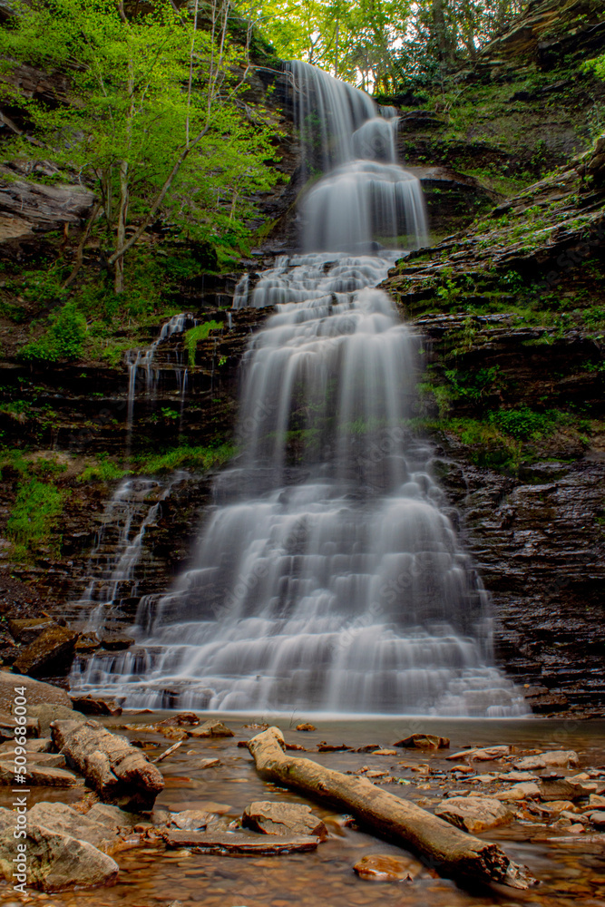 Obraz premium Cathedral Falls in West Virginia
