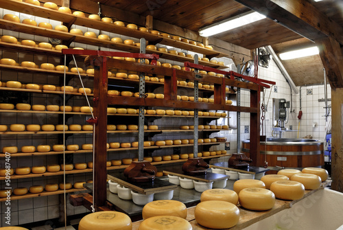 Fabrica de queijos artesanais na Holanda photo