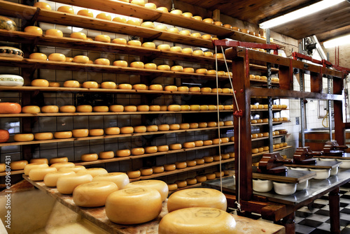 Fabrica de queijos artesanais na Holanda photo