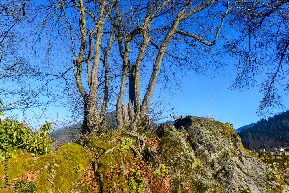 Schlossturm des Hornberger Schlosses in Hornberg, Ortenaukreis, Baden-Württemberg Schlossturm des Hornberger Schlosses in Hornberg, Ortenaukreis, Baden-Württemberg