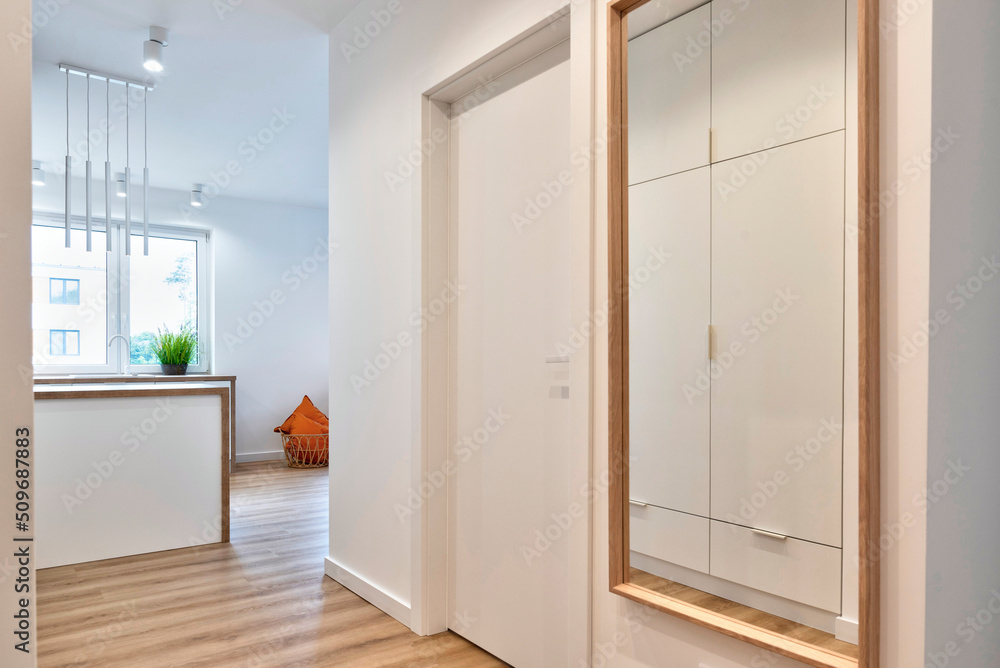 Fototapeta premium Interior of entrance hall in new apartment with wooden floor, big mirror, window and stylish lamp. Corridor with entrance and white door. Room at home.
