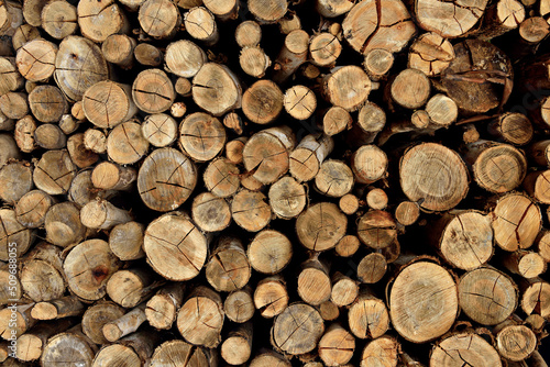 Pilha de madeiras   troncos de arvores empilhados